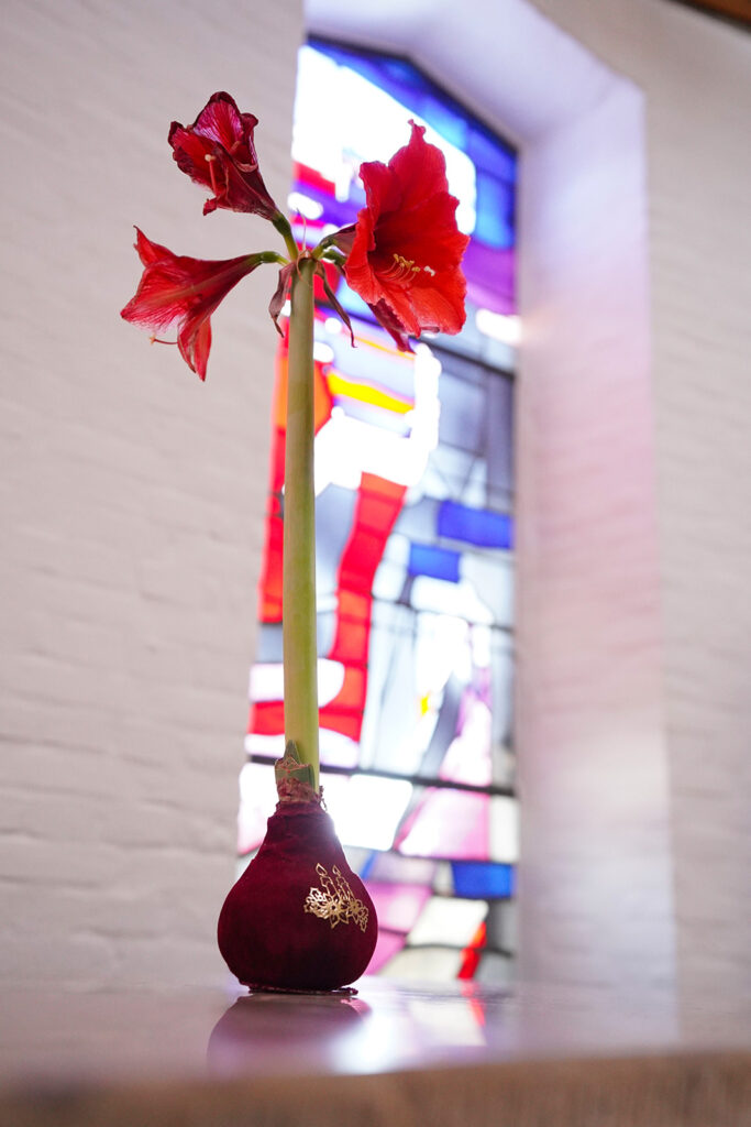 Fenster und Blume im Erfahrungsreich Kelheim